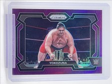 yokozuna for sale yokozuna for sale Pittston