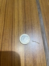 Moneta euro gufo usato  Viareggio