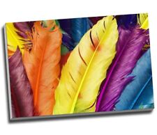 Abstract colorful feathers for sale Abstract colorful feathers for sale  LONDON