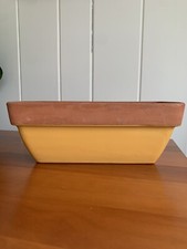Norcal yellow terra for sale  Grand Rapids