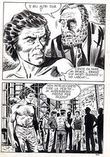 Tombe superbe planche d'occasion  Neuves-Maisons
