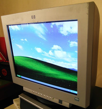 Rare monitor p1230 usato  Torino