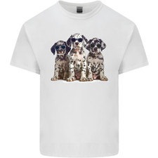 Cool dalmatian puppies for sale  COVENTRY