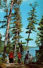 Scenic lake itasca for sale  USA