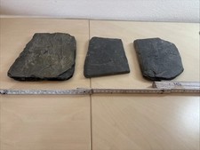 Schieferplatten aquarium gebraucht kaufen  Tamm