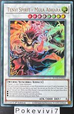 Carte tenyi spirit d'occasion  Valognes