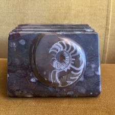 Heavy polished ammonite for sale  MANCHESTER