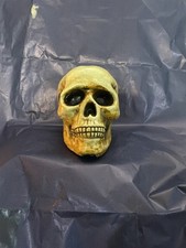 Scultura cranio memento usato  Caselle Torinese