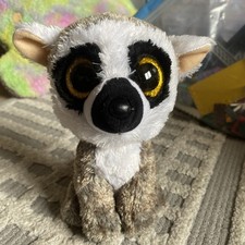 Raccoon yellow eyes for sale  UK