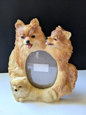 Pomeranian dog picture for sale  Lansdale
