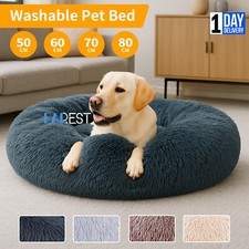 Washable dog bed for sale  NORTHAMPTON