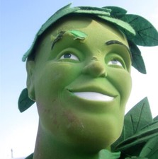 Jolly green giant for sale  Toledo