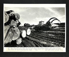 1989 grays harbor for sale  Chattanooga