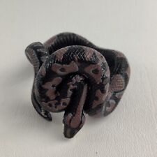 ball python snake for sale ball python snake for sale Warren