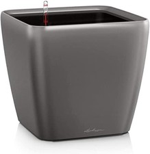 Lechuza quadro anthrazit gebraucht kaufen Lechuza quadro anthrazit gebraucht kaufen  Neustadt in Sachsen