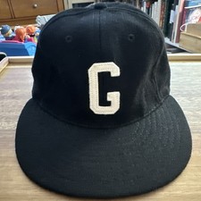 Ebbets field flannel for sale  Salisbury