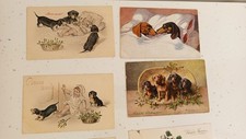 Lot c1910s dachshund d'occasion  Expédié en Belgium