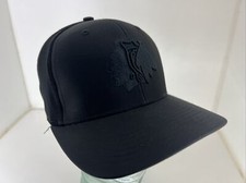 Winterhawks hat snapback for sale  Canby