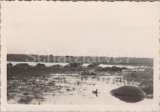 Foto tote pferde gebraucht kaufen  Jena