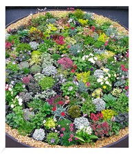 Baldur gartensteingarten staud gebraucht kaufen  Bensheim
