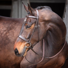 Shires velociti gara for sale  BROMYARD