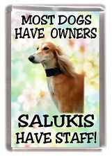 Saluki dog fridge for sale  YEOVIL