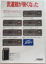Peavey muscian 412 usato  Spedire a Italy