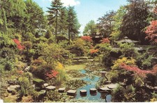 Japanese garden stepping for sale  MUSSELBURGH