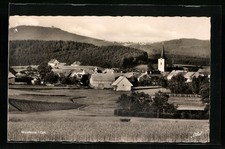 Waldhaus totale kirche gebraucht kaufen  Berlin