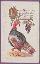 turkey hen for sale turkey hen for sale Massillon