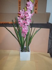 Abella flora künstl gebraucht kaufen  Hamburg