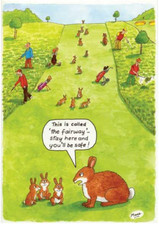 Called fairway ... for sale  RINGWOOD