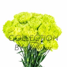 Fresh flowers garland for sale  San Jose