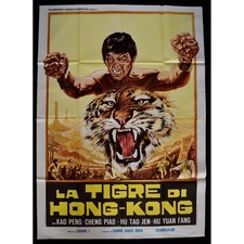Manifesto tigre hong usato  Nocera Superiore