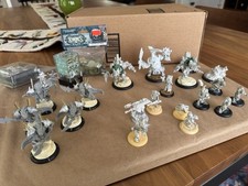 Hordes warmachine minions for sale  Winston Salem