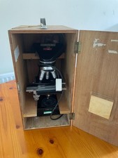 Gillett sibert lablynx for sale  EXETER