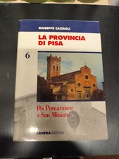 Libro provincia pisa usato  Poggibonsi