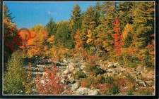 Cartão postal fotográfico -:New Hampshire, Montanhas Brancas, Folhagem Brilhante, Swift River comprar usado  Enviando para Brazil