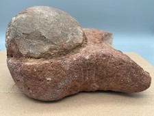 Fossilien gebraucht kaufen Fossilien gebraucht kaufen Deutschland
