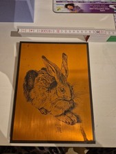 Kupferstich hase alfred gebraucht kaufen  Eggenstein-Leopoldshafen