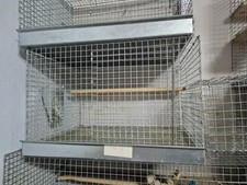 Thickets chinchilla cages for sale  NEWPORT