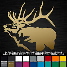 Bull elk bugling for sale  Ruidoso
