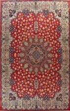Vegetable dye najafabad for sale  Charlotte
