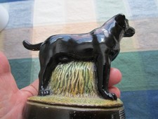 Scott product dog for sale  Lexington