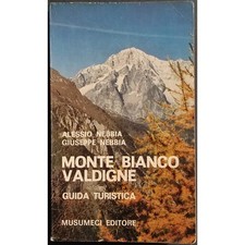 Monte bianco valdigne usato  Alessandria