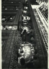 1981 press photo for sale  Memphis