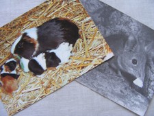 Postkarte ansichtskarte alt gebraucht kaufen  Bremen