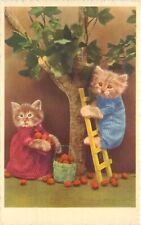 Dressed cat postcard for sale  Redding
