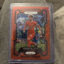 Panini prizm epl for sale  WORCESTER