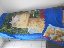 Housse couette dinosaures d'occasion  Aulnoye-Aymeries